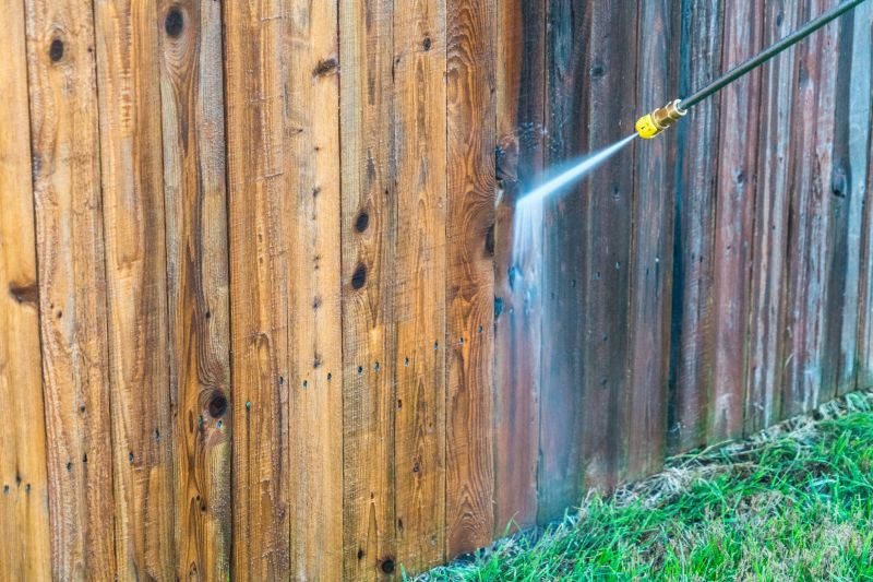 Fence Cleaning and Restoration
